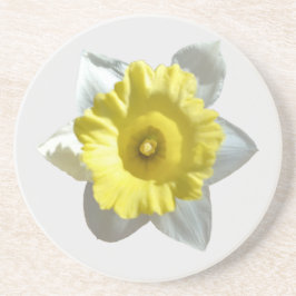 White Daffodil Sandstone Underlägg