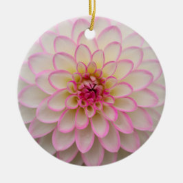White Dahlia med Rosa Rim Flower Julgransprydnad Keramik