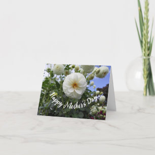 White Dahlia Mors dag Kort