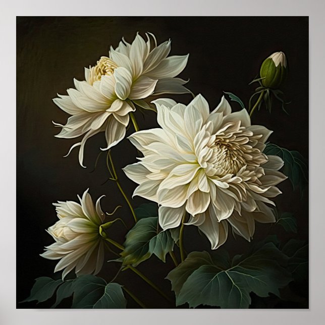 White Dahlias Flower Art Print Poster (Framsidan)