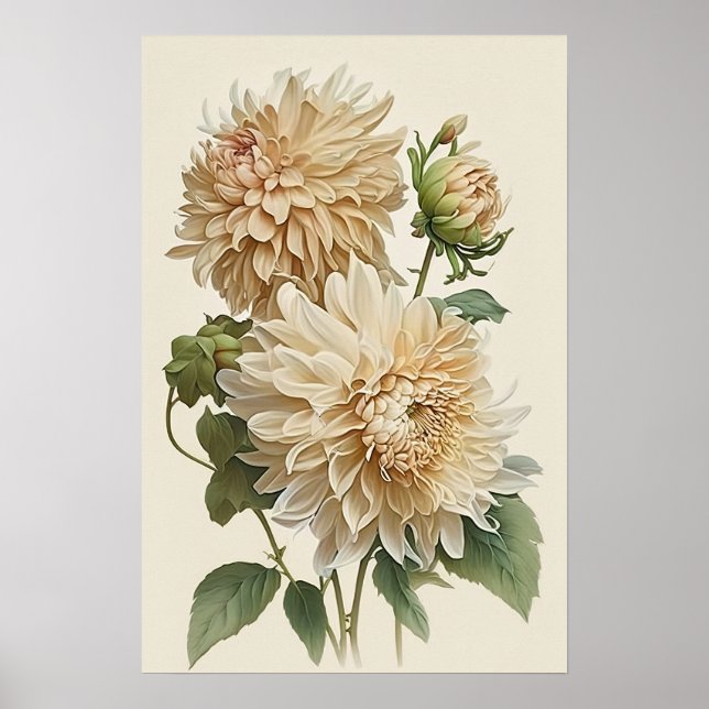 White Dahlias Flower Art Print Poster (Framsidan)