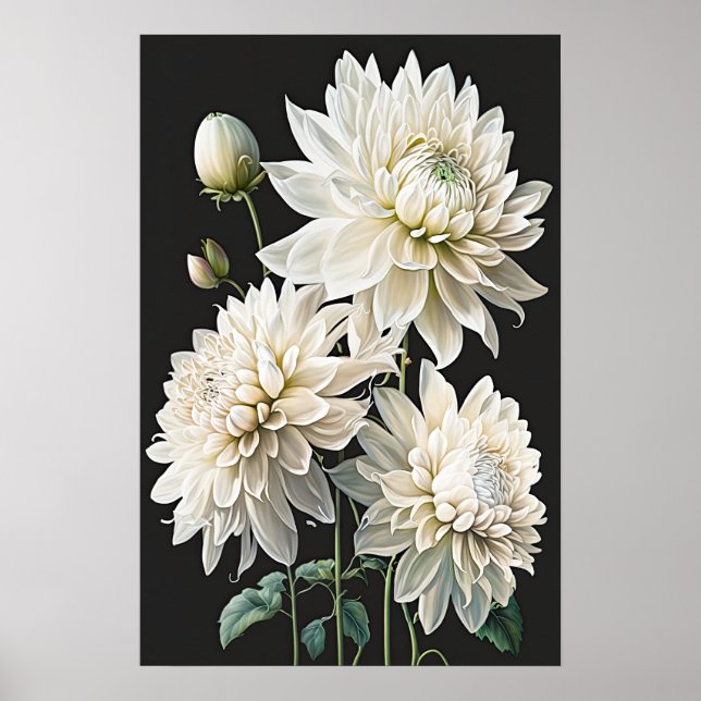 White Dahlias Flower Art Print Poster (Framsidan)