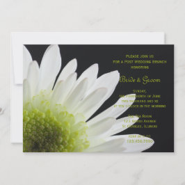 White Daisy Black Post Bröllop Brunch Inbjudningar