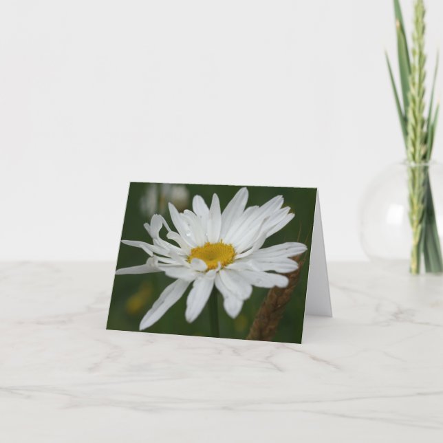 White Daisy Flower Photography Note Kort (Framsida)