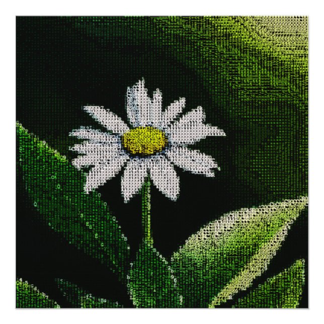 WHITE DAISY FOTOTRYCK (Framsidan)