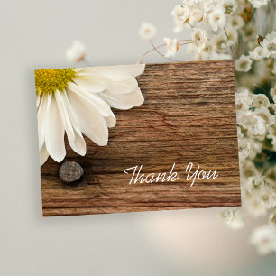 White Daisy och Barn Wood Land Tack Vykort