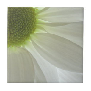 White Daisy Petals Kakelplatta