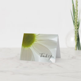 White Daisy Petals Tack