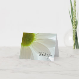 White Daisy Petals Tack Kort