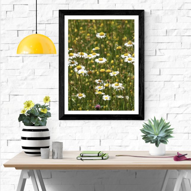 White Daisy Wildblommor Poster (Skapare uppladdad)