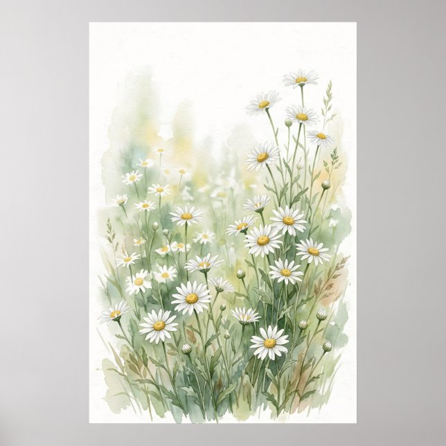 White Daisy Wildflower Watercolor Poster (Framsidan)