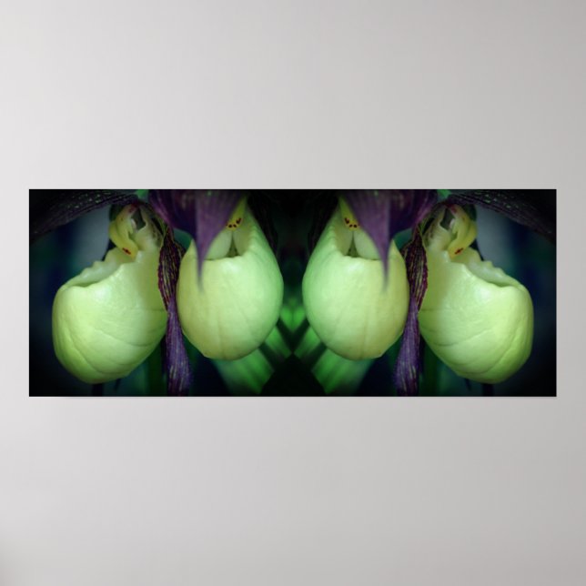 White Dam Slipper Orchid Flowers Spegel Abstrakt Poster (Framsidan)
