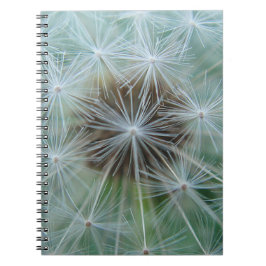 White Dandelion Anteckningsbok
