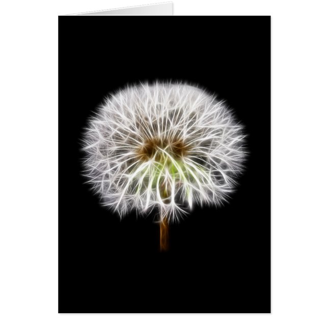 White Dandelion Flower Plant Hälsningskort (Framsidan)