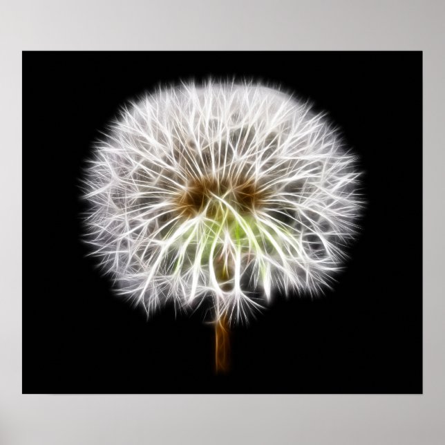 White Dandelion Flower Plant Poster (Framsidan)