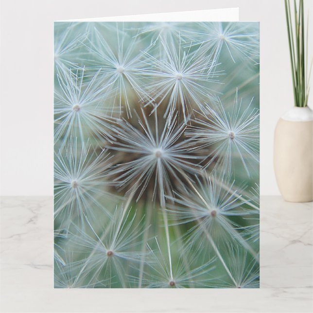 White Dandelion Kort (Framsida)