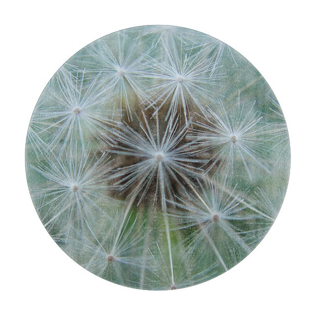 White Dandelion Mönster (Framsidan)