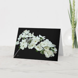 White Dogwood Blommigt på Black Tillfällen Blank Kort