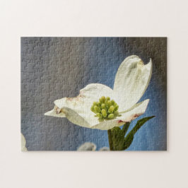 White Dogwood Bloom Pussel