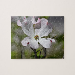 White Dogwood Flower Pussel