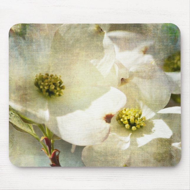 White Dogwood Flowers Musmatta (Framsidan)