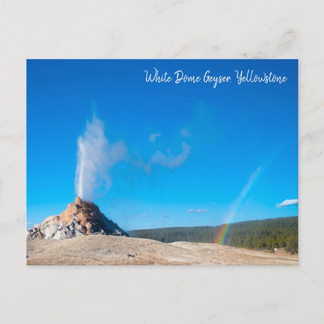 White Dome Geyser Eruption Yellowstone Vykort (Framsida)