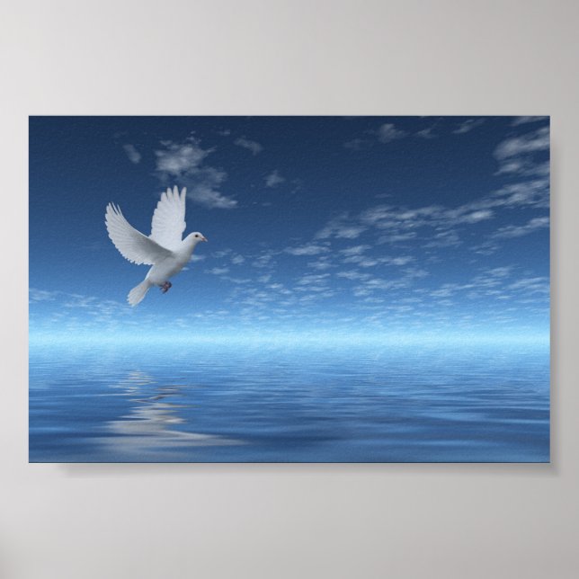 White Dove Poster (Framsidan)
