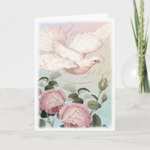 White Dove Rosa ros Sympathy eller Peace Kort