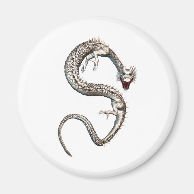 White Dragon Magnet (Framsidan)