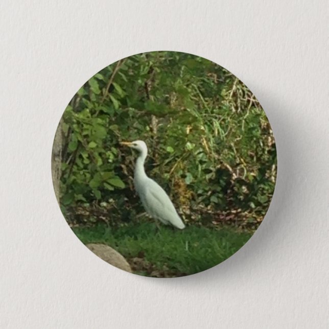 White Egret Knapp (Framsida)