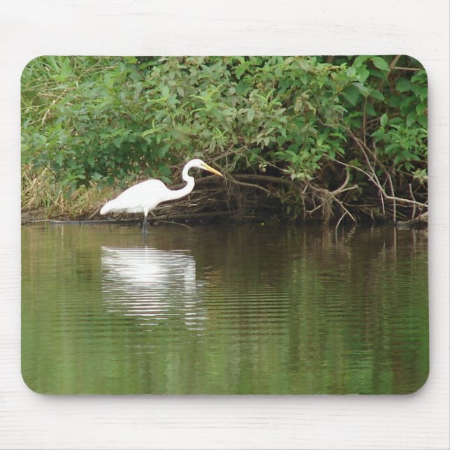 White Egret Musmatta (Framsidan)