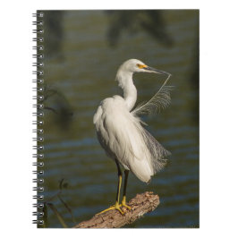 White Egret Spiral Photo Notebook Anteckningsbok