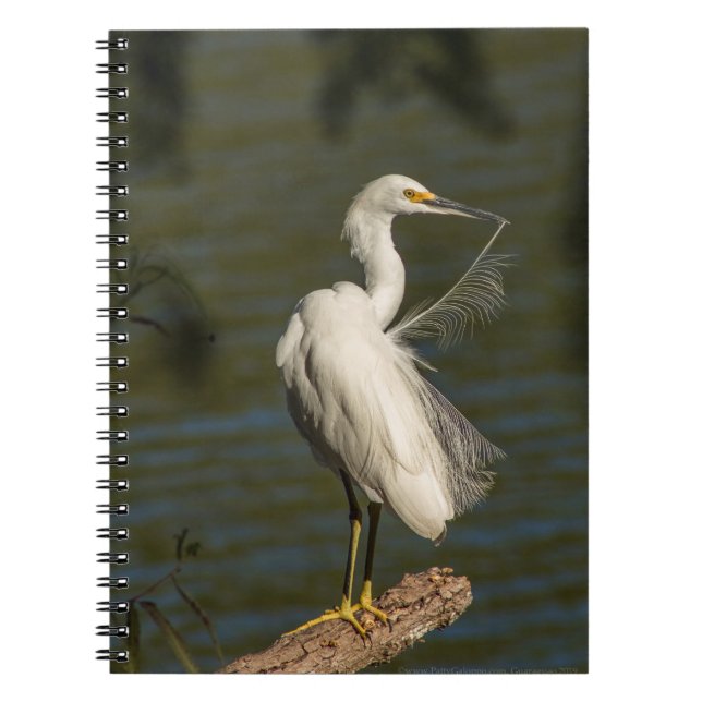 White Egret Spiral Photo Notebook Anteckningsbok (Framsidan)