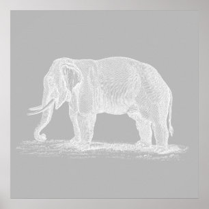 White Elephant Vintage 1800s Illustration Poster