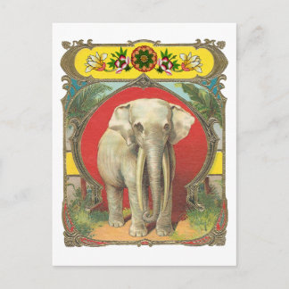 White Elephant Vykort