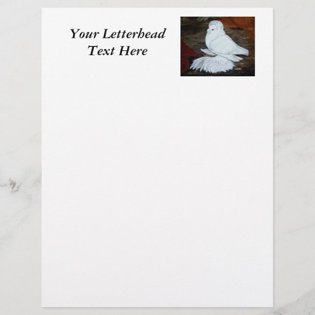 White English Trumpeter Pigeon (Framsida)