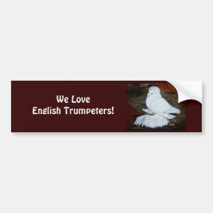White English Trumpeter Pigeon Bildekal