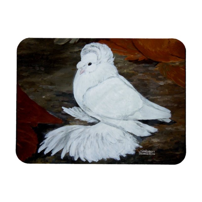 White English Trumpeter Pigeon Magnet (Horisontell)