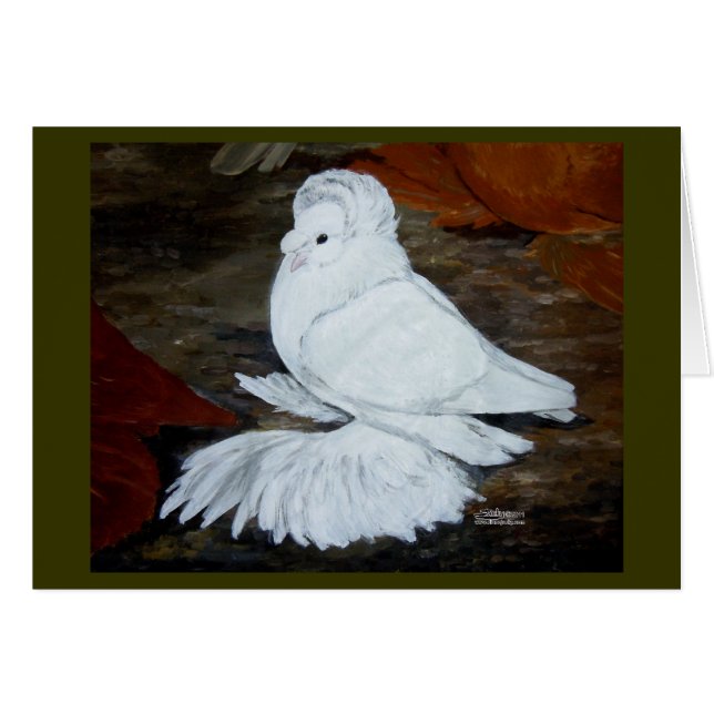 White English Trumpeter Pigeon OBS Kort (Framsidan Horizontal)