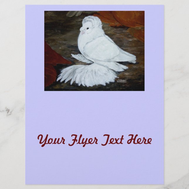 White English Trumpeter Pigeon Reklamblad (Framsidan)
