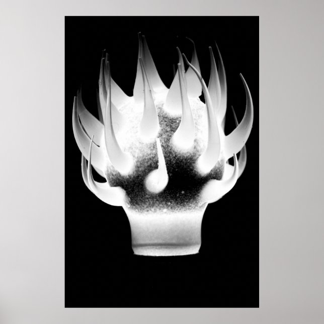 White Flame Poster (Framsidan)