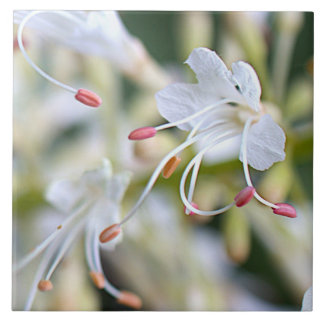White Flower Close-up Photo Tile Kakelplatta