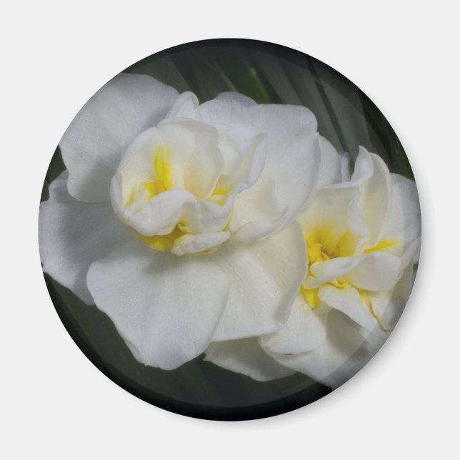 White Flower Magnet (Framsidan)