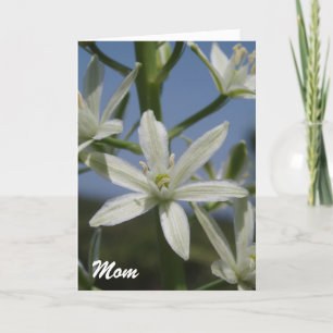 White Flowers Mors dag Card Kort