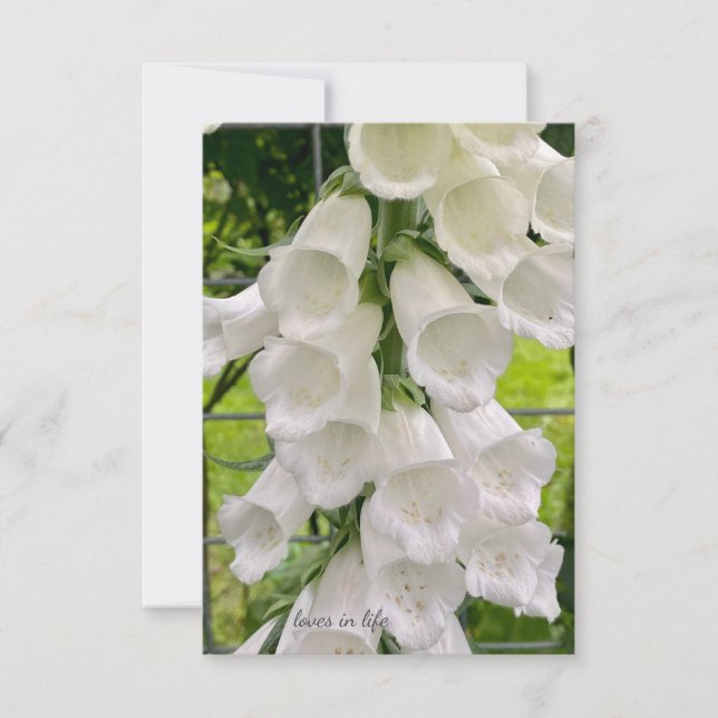 White Foxglove Anteckningskort (Framsida)