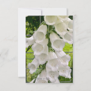 White Foxglove Anteckningskort