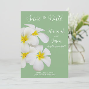 White Frangipani Flowers, Sage, Spara Date Inbjudningar