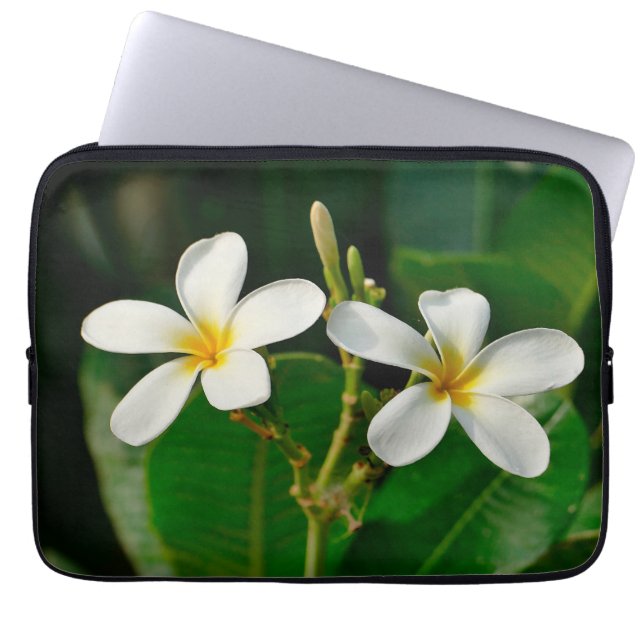 White Frangipani Kanvastryck Laptop Fodral (Framsidan)
