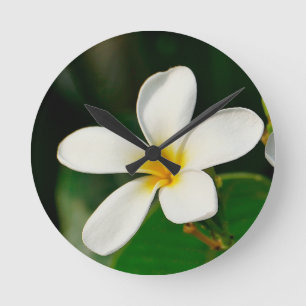 White Frangipani Rund Klocka