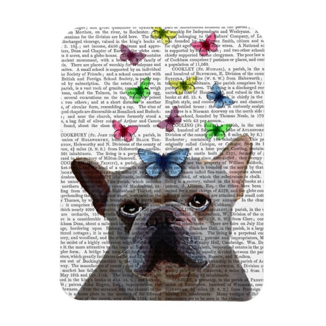 White Fransk Bulldog and Butterflies Magnet (Vertikal)